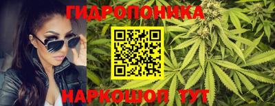 apvp Беслан