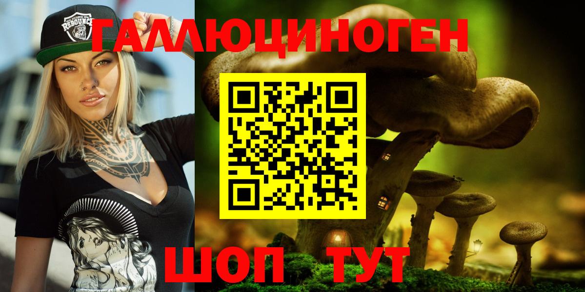 Галлюциногенные грибы Psilocybe Казань
