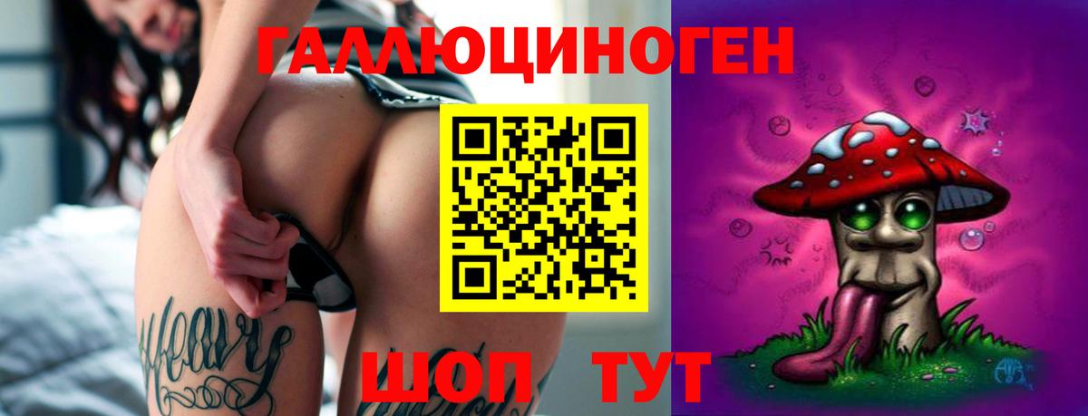 Галлюциногенные грибы Psilocybine cubensis  Псилоцибиновые грибы GOLDEN TEACHER  Вход с VPN  Казань 